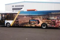 Commercial Graphics